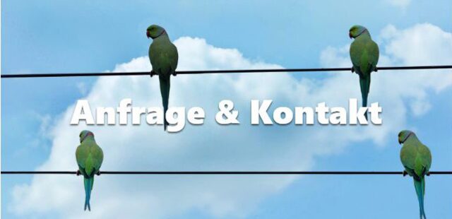 Kontakt & Anfrage